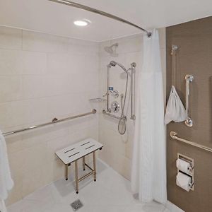 King Room Roll Shower Mobility or Hearing Accessible